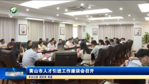 黄山市人才引进工作座谈会召开