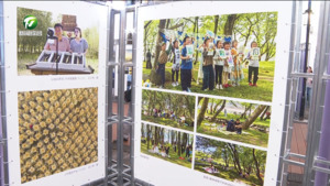 黄山“随手拍”大众欢乐季首轮影展亮相屯溪河街