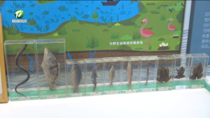 休宁横江国家湿地公园志愿服务站正式启用