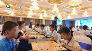 简讯：黄山区：第五届“黄山杯”全国少儿围棋公开赛开赛
