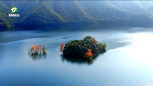 简讯：黄山区“控源截污” 筑牢水安全屏障