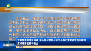 市委常委会会议强调  深入学习贯彻习近平总书记重要讲话指示精神 更好统筹发展和安全