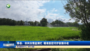 简讯：黟县：田间虫情监测忙 精准防控守护秋粮丰收
