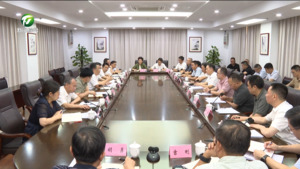 丁纯调研文房四宝产业发展工作并主持召开座谈会 坚持守正创新 加快产业振兴 奋力推动徽州文化创造性转化创新性发展