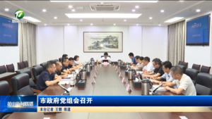 市政府党组会召开