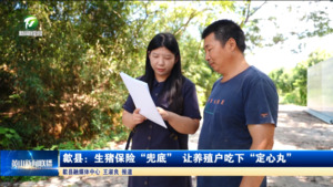 歙县：生猪保险 “兜底” 让养殖户吃下 “定心丸”