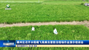 简讯：徽州区召开水稻褐飞虱病虫害防治现场作业演示培训会