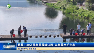 黟县：30万尾鱼苗放流江河 以鱼养水护生态