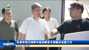 孙勇来我市调研中医药康养文旅融合发展工作