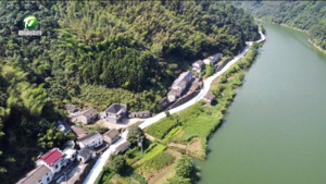 我市全力推进“四好农村路”建设