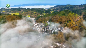 “观鸟经济”蹚出生态振兴新路径