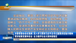 市委常委会会议强调 深入学习贯彻习近平总书记重要讲话指示精神 更好统筹发展和安全 全力维护社会大局和谐稳定
