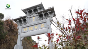 传承盆景非遗 助力古村振兴