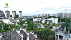 铭记抗战历史 传承爱国薪火