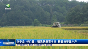 休宁县 祁门县:稻浪飘香喜丰收 精管田管促丰产 休宁县 祁门县:稻浪飘香喜丰收 精管田管促丰产