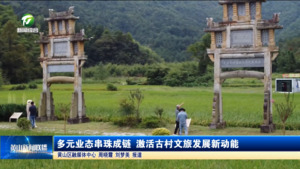 多元业态串珠成链 激活古村文旅发展新动能