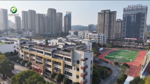 深耕教研蓄势能 笃行赋能促成长