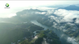 新安江——千岛湖皖浙省际航线成功入选国内水路旅游客运精品典型案例