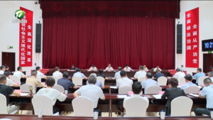 丁纯在全市部分乡镇党委书记座谈会上强调 常态化开展访企入村和大接访大走访 用心用情用力为群众办实事解难题