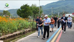 农文旅专家服务团走进黄山区