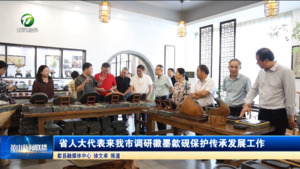 省人大代表来我市调研徽墨歙砚保护传承发展工作