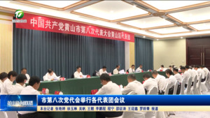 市第八次党代会举行各代表团会议