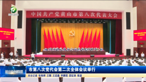 市第八次党代会第二次全体会议举行