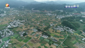 2022黄山乡村振兴成绩单来了