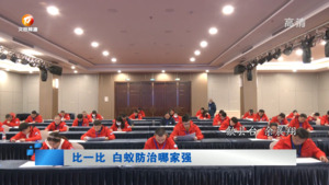 比一比 白蚁防治哪家强