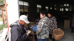 绿色防控种出生态黄山茶