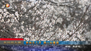 新闻朋友圈
