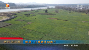 新闻朋友圈
