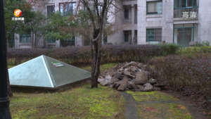 小区景观填平改造 业主意见不一存争议