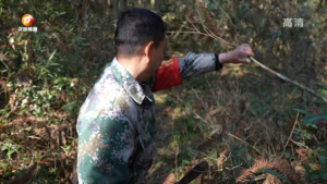 谢国建：绿水青山守护者