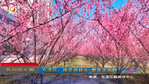 朋友圈2023年2月28日