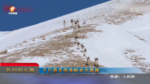朋友圈2023年3月1日