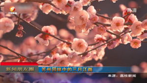 朋友圈2023年3月2日