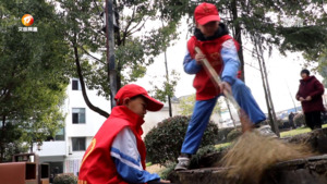 志愿服务进社区 争做新时代“小雷锋”