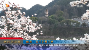 新闻朋友圈