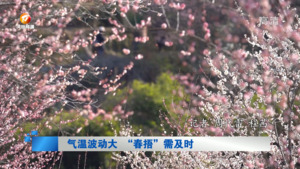 气温波动大 “春捂”需及时