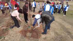 履行植树义务 共建和美徽州