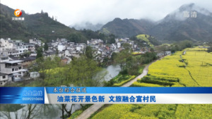 油菜花开景色新   文旅融合富村民