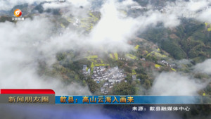 朋友圈2023年3月23日