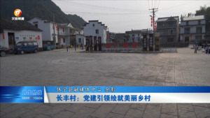 长丰村：党建引领绘就美丽乡村