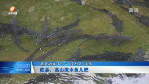 歙县：高山流水鱼儿肥