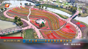 新闻朋友圈