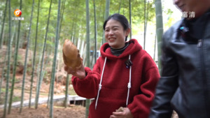 春到问政 品味贡笋