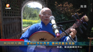 新闻朋友圈