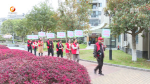 文明祭扫 绿色清明