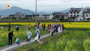 黟县：“赏花游”带动文旅经济持续升温